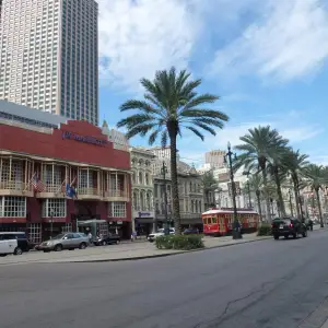 a city street lined with palm trees and a building