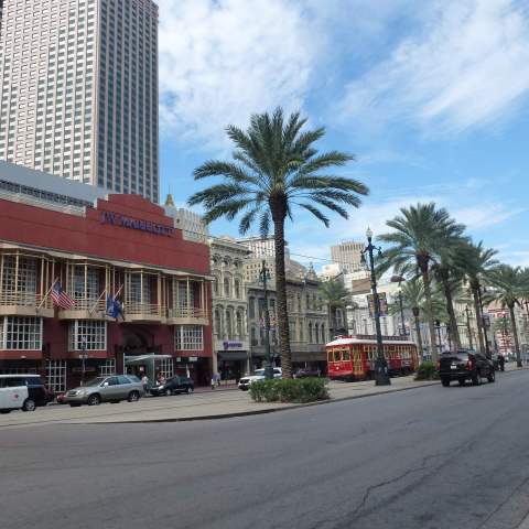 a city street lined with palm trees and a building
