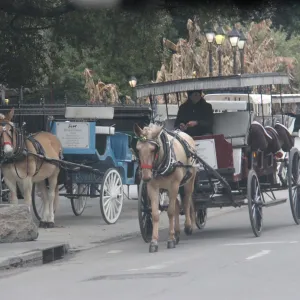 a person riding a horse drawn carriage