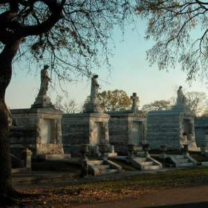 a tree in front of a building