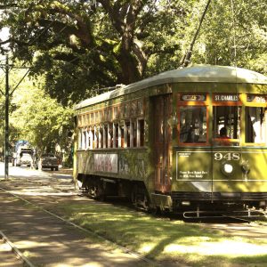 a train traveling down train tracks near a forest