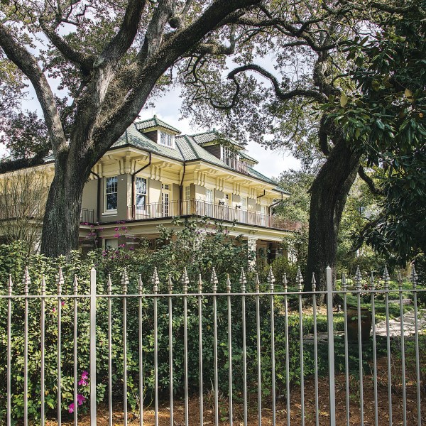 a tree in a fenced in area
