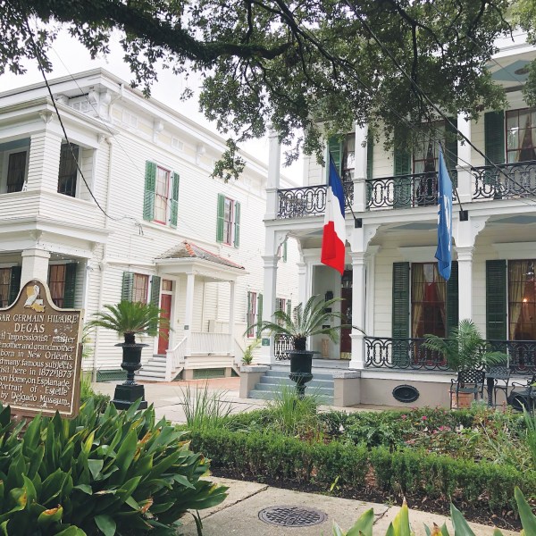a close up of a flower garden in front of a building